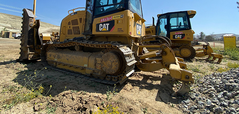 ¿Qué es un diente desgarrador?